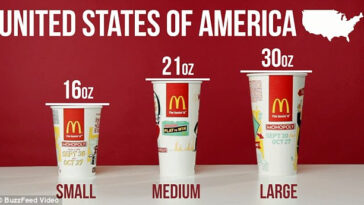 What are Mcdonalds drink sizes?