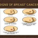 What are breasts meant to feel like?