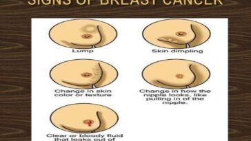 What are breasts meant to feel like?