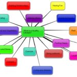 What are examples of a healthy lifestyle?