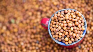 What are good starches for dinner?