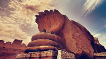 What are in bitters?