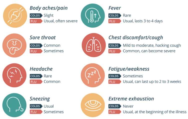 What are signs of strong immune system?