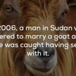 What are some disturbing facts?