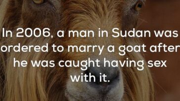 What are some disturbing facts?