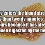 What are some fun facts about food?