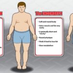 What are the 3 female body types?