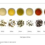 What are the 6 main types of tea?