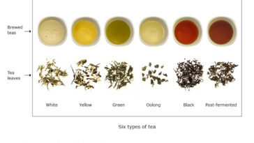 What are the 6 main types of tea?