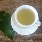 What are the benefits of drinking boiled avocado leaves?