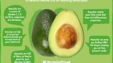 What are the benefits of eating an avocado a day?