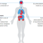What are the benefits of phenylalanine?