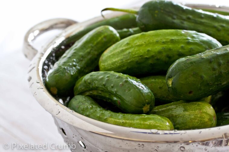What are the crispiest pickles?