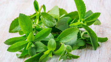 What are the dangers of stevia?