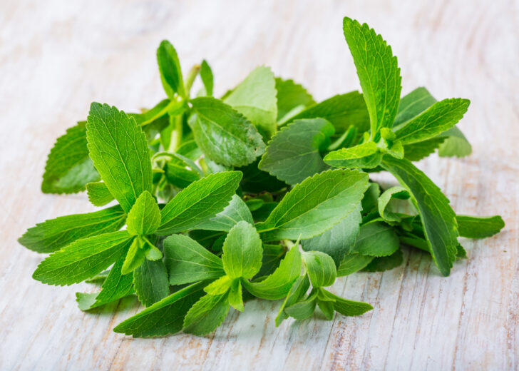 What are the dangers of stevia?