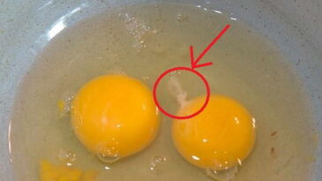 What are the disadvantages of egg yolk?
