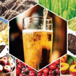 What are the ingredients in Aplos?