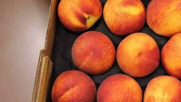 What are the side effects of eating peaches?