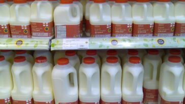 What are the side effects of lactose-free milk?