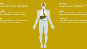 What are the signs of a fast metabolism?