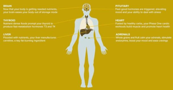 How To Know If You Metabolize Medication Too Fast What are the signs of a fast metabolism?