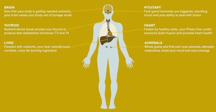 What are the signs of a fast metabolism?