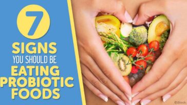 What are the signs you need probiotics?