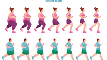 What are the stages of weight loss?