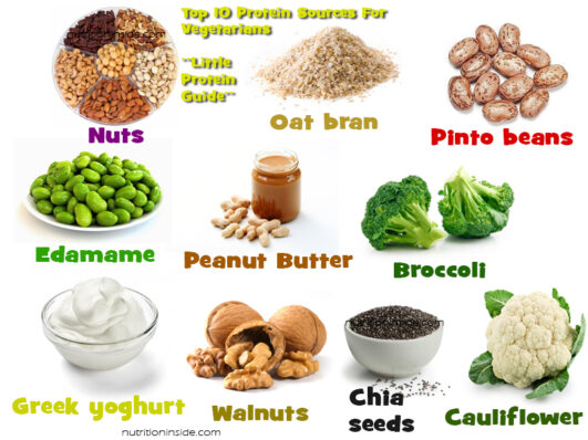 What are the top 10 protein foods?