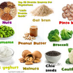What are the top 10 protein foods?