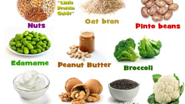 What are the top 10 protein foods?