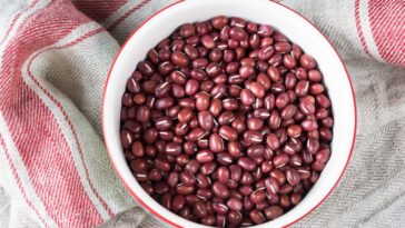 What beans have more protein than meat?
