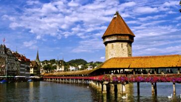 What brand is Lucerne?