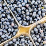 What brand of blueberries are being recalled?