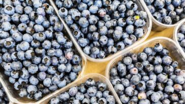 What brand of blueberries are being recalled?