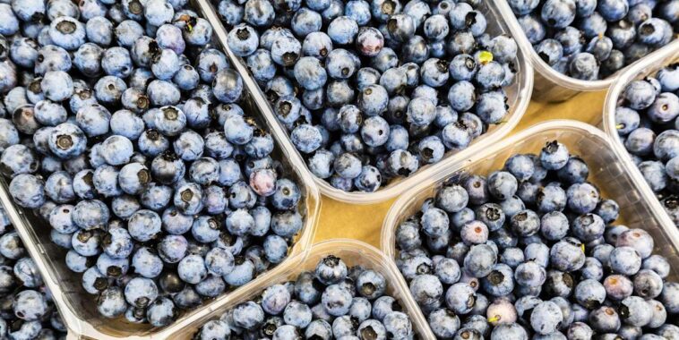 What brand of blueberries are being recalled?