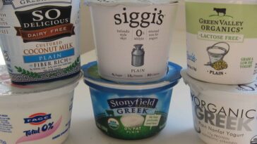 What brands of yogurt are lactose-free?