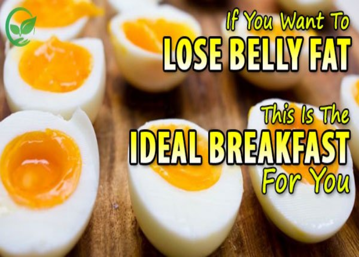 What breakfast make you lose belly fat?