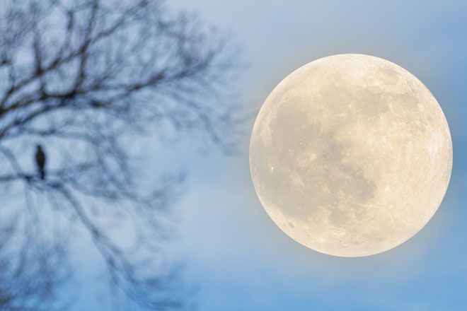 What brings good luck on a full moon?