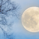 What brings good luck on a full moon?