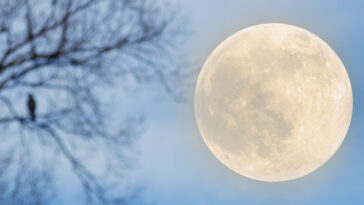 What brings good luck on a full moon?