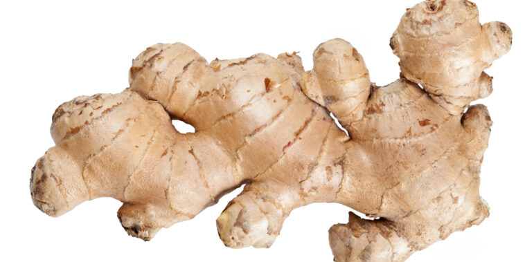 What can I do with a lot of fresh ginger?