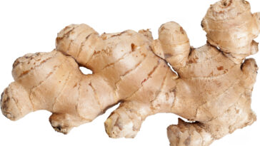 What can I do with a lot of fresh ginger?