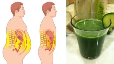 What can I drink to burn belly fat?