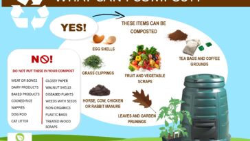 What can I put umeboshi in?