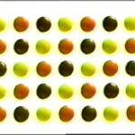 What candy was popular in 1992?