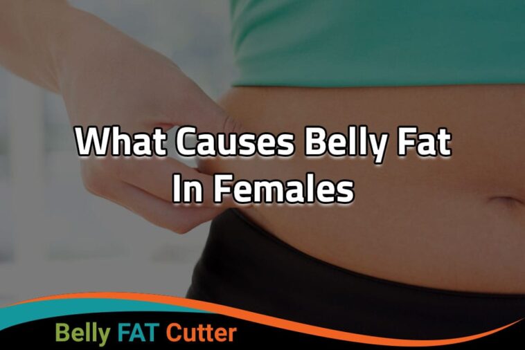 What causes big stomach in females?
