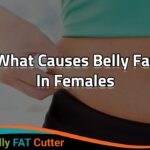 What causes big stomach in females?