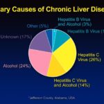 What causes chronic liver disease?