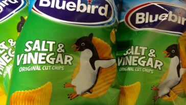 What chips are they recalling?